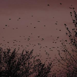 极品黑丝美女光身子赤裸裸自慰黄片
